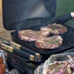 Nexgrill Fortress 2-Burner Portable Gas Grill