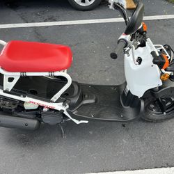 Honda Ruckus