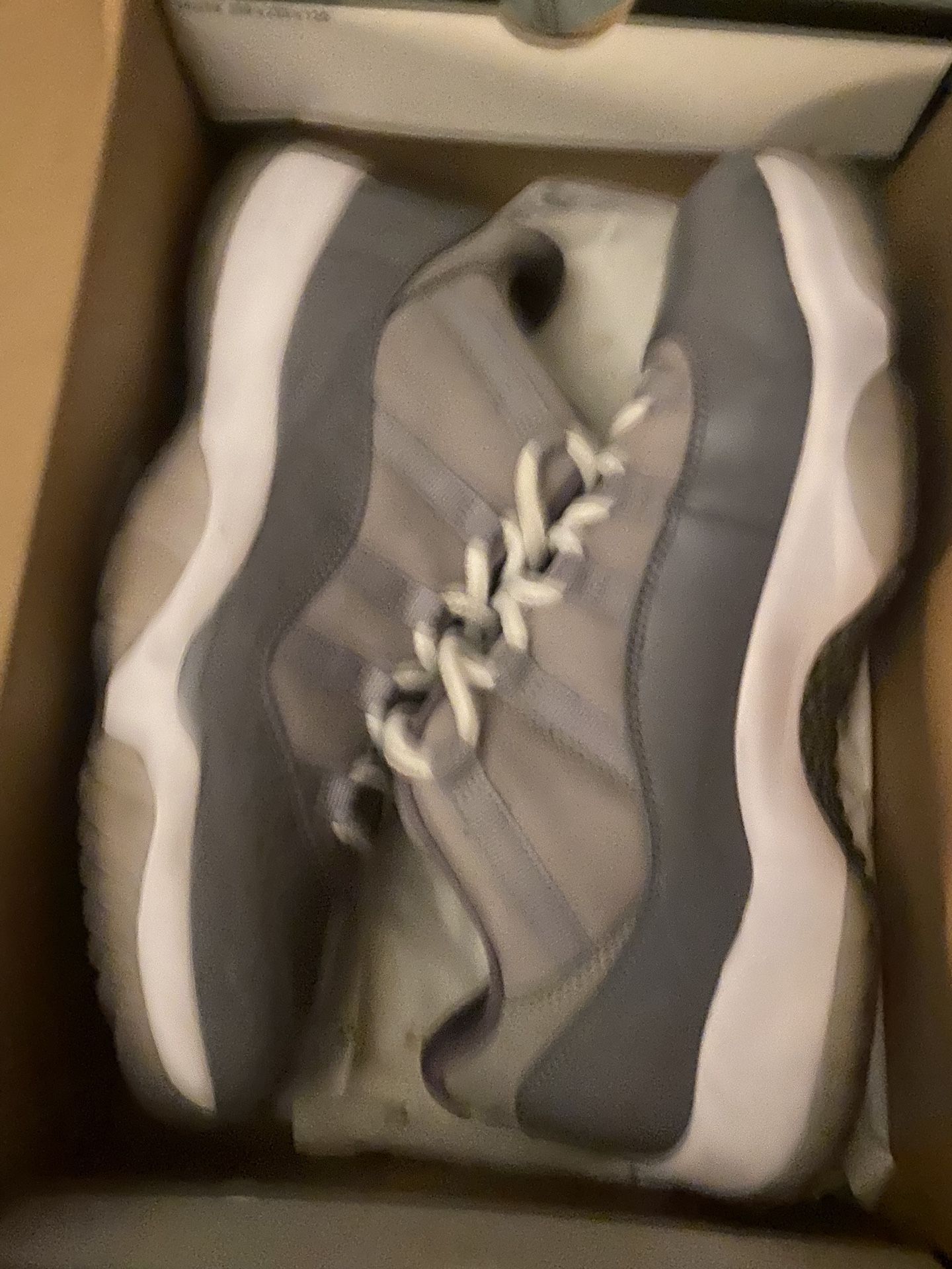 Jordan 11 Cool Grey Low