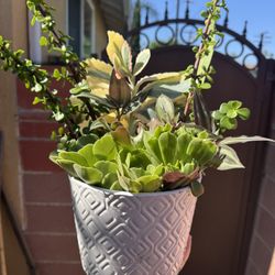Very Beautiful Arrangement In A Beautiful Ceramic Pot 