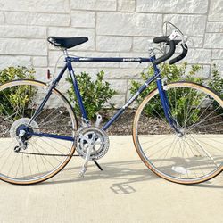 Oldschool 1980’s Panasonic Racing Bike