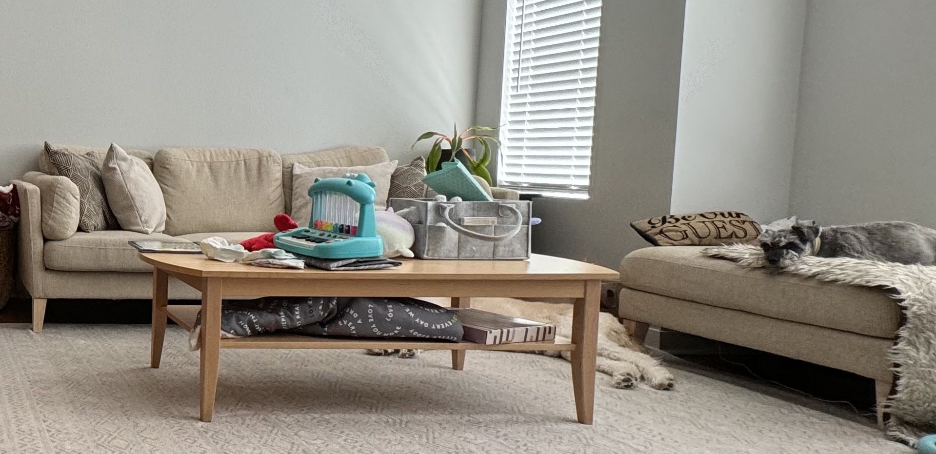 Couch w/ottoman
