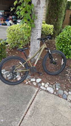 REI youth mountain bike $55.00—Memorial Day weekend SALE!