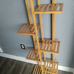 Shelf. Plants