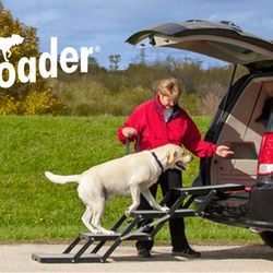 Pet loader XL 18” platform steps for car