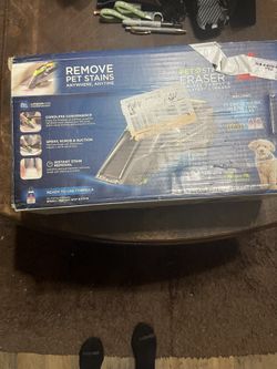 Remove Pets Stains