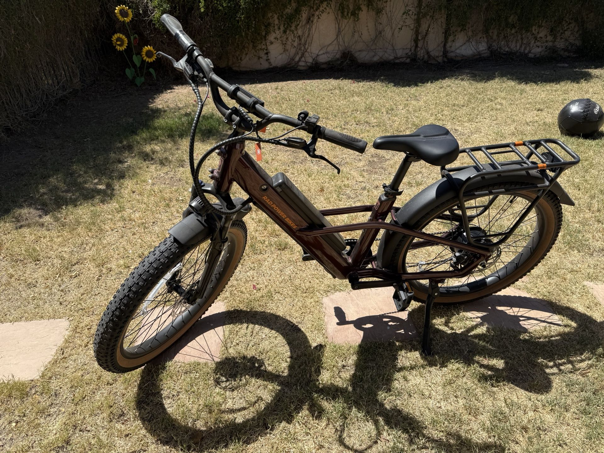 Radster Trail E-bike