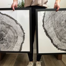 Tree Ring Print Duo - Set of 2 (17”x22”)