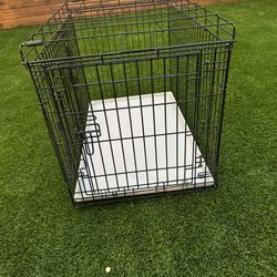 Dog Cage 