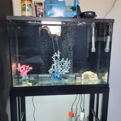 29 Gallon Fish Tank 