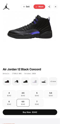 Air Jordan 12 Black Concord