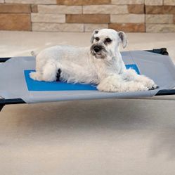 NEW Elevated Cooling Dog Bed, Coolin' Pet Cot, Elevated Dog Cooling Mat, Raised Dog Bed !