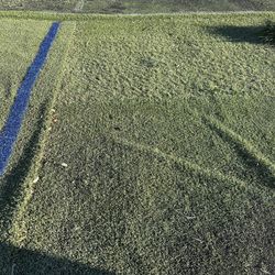 Artificial Turf 
