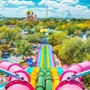 Aquatica Un Día Entrada 