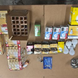 Whole Messa Lightbulbs