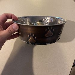 Dog Bowl