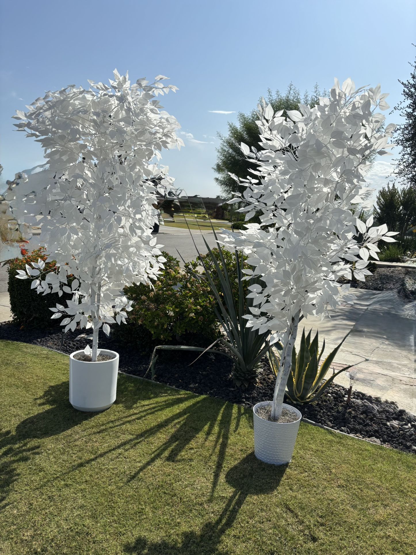 White artificial Ficus Tree
