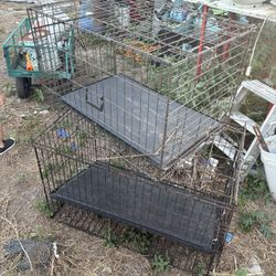 Dog Cages