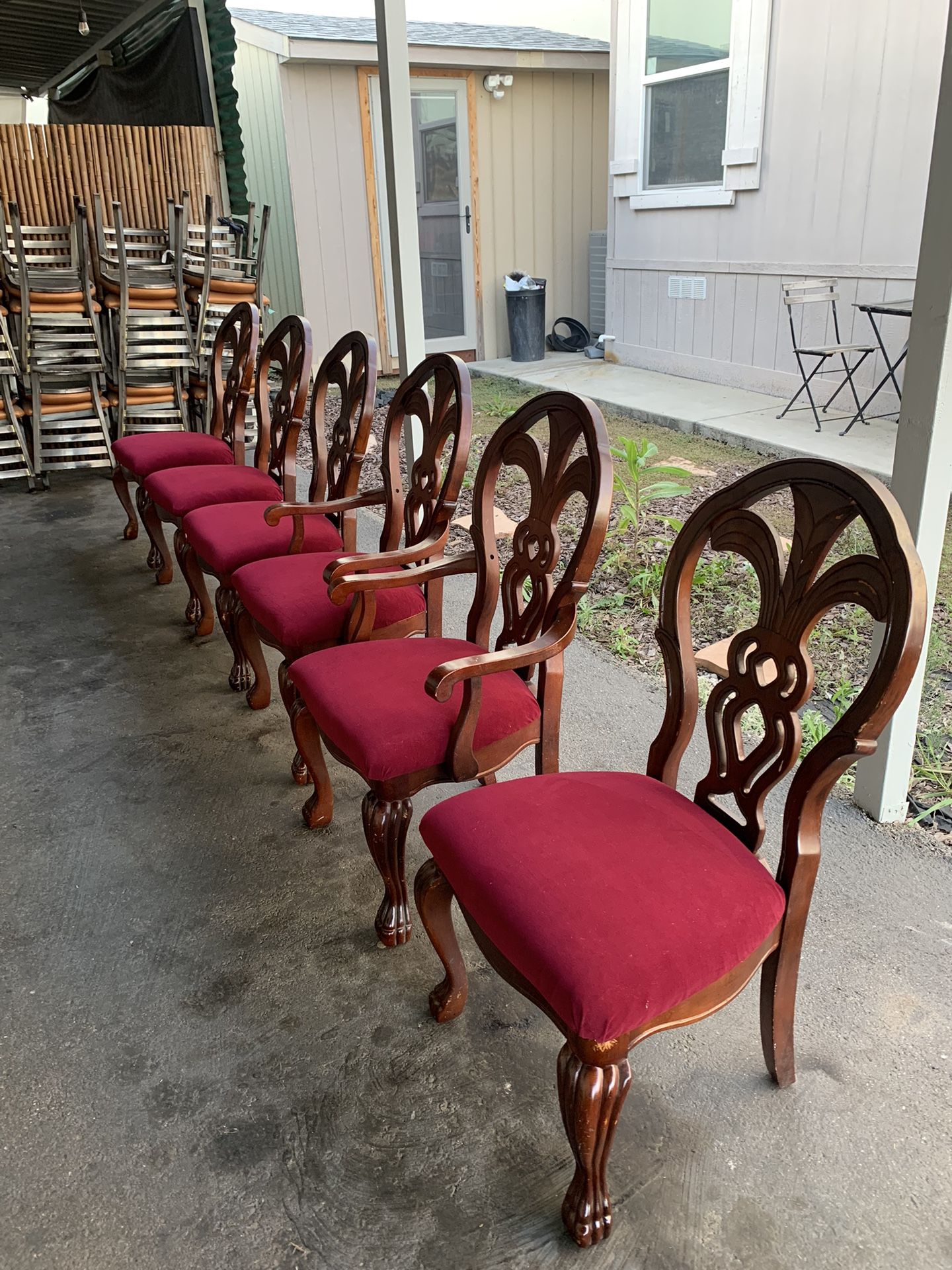 Tapiso Sillas 🪑 De Comedor Y Restaurantes 