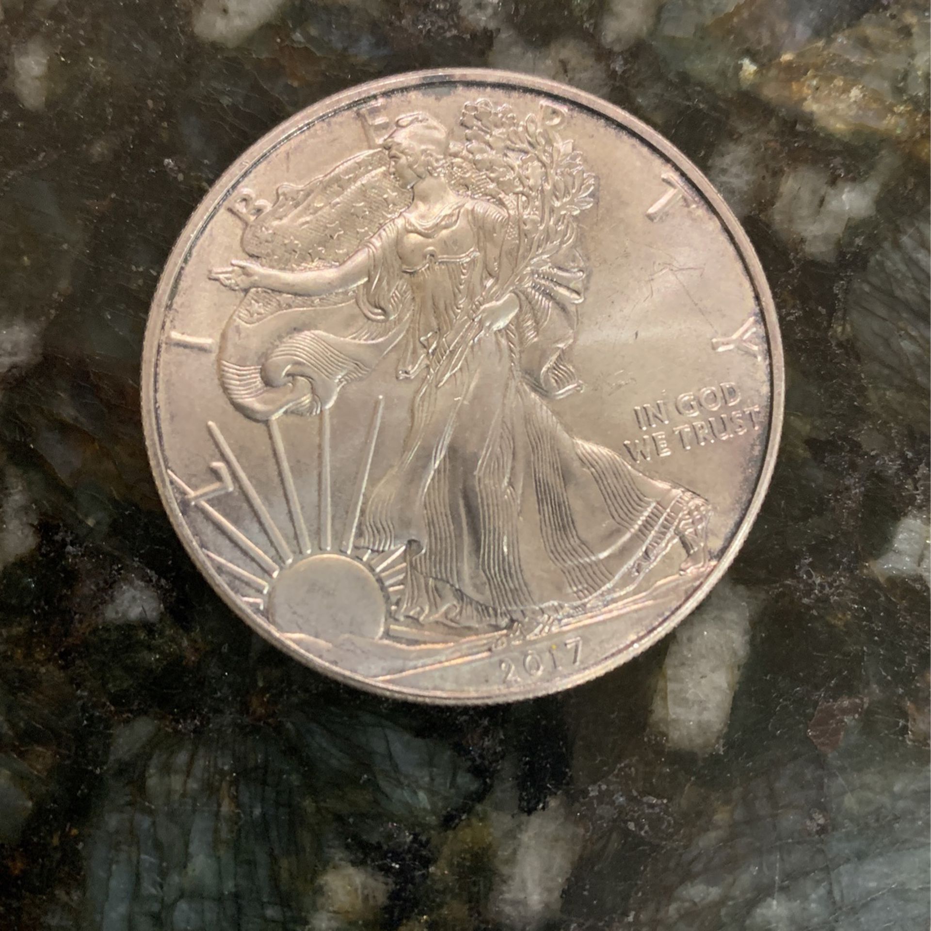 2017 Silver Dollar (1 Oz Fine Silver)
