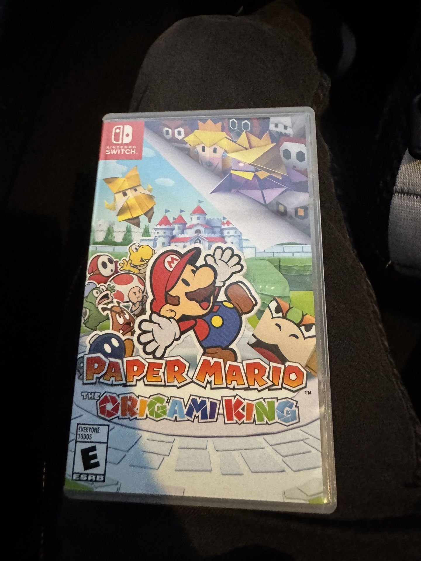 Nintendo Switch Paper Mario Case (No Game)