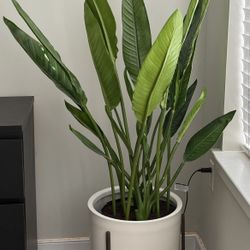 Faux Potted Plant 