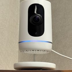 1 White Indoor Camera 