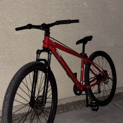 kent adult mountain bike