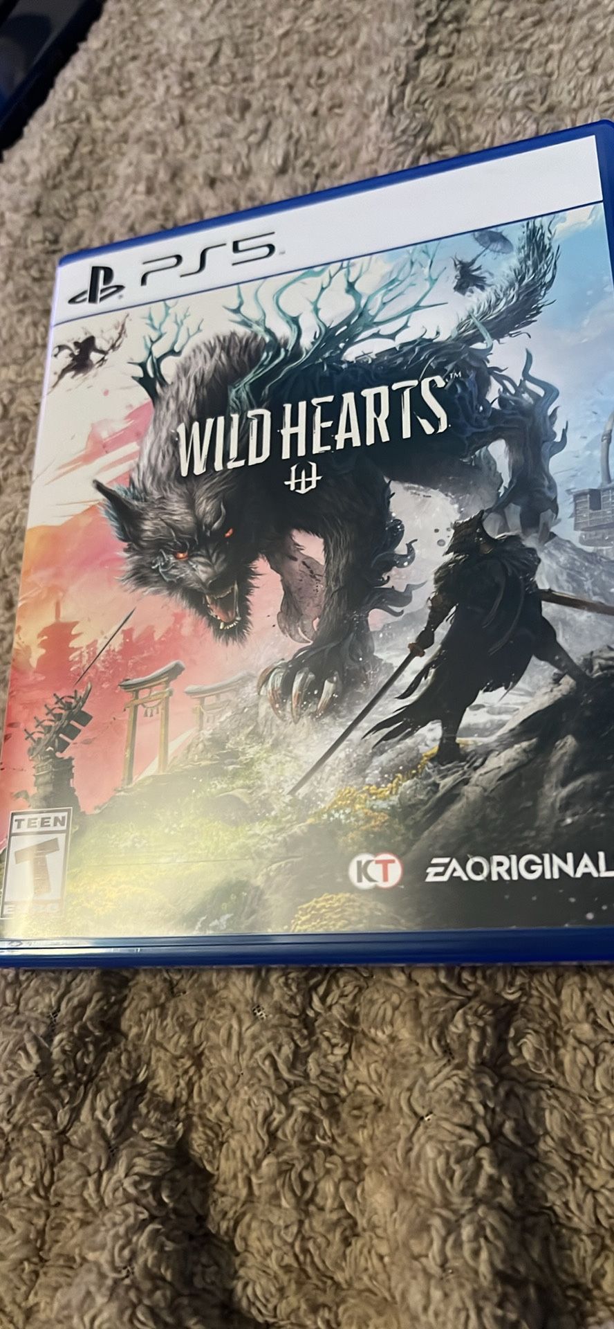 Ps5 Game