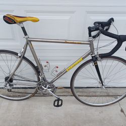 Titanium Litespeed Arenberg 