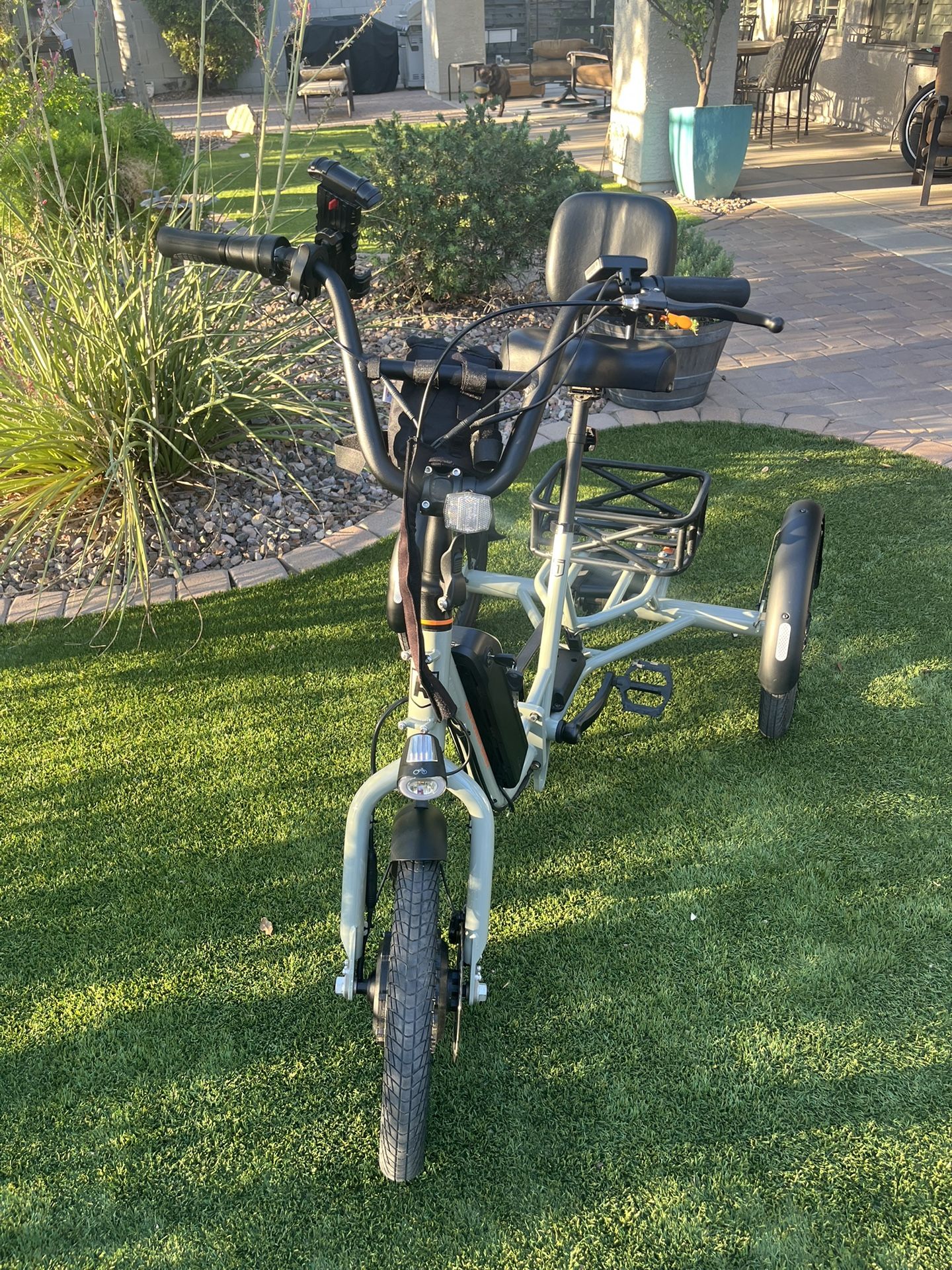 RAD Power Tricycle 