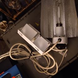 HYDRO FARM GROW LIGHT + 2 PLANTS INCL.