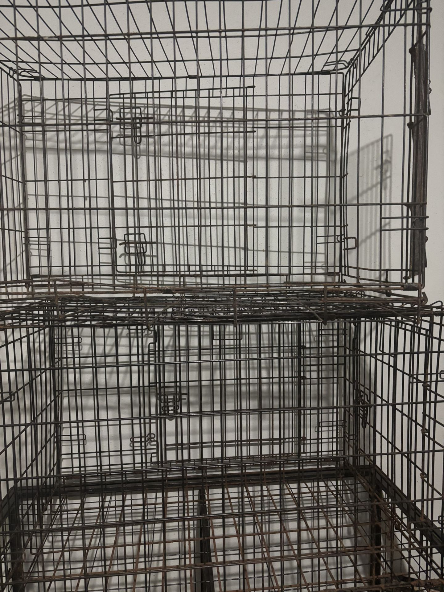 dog cage