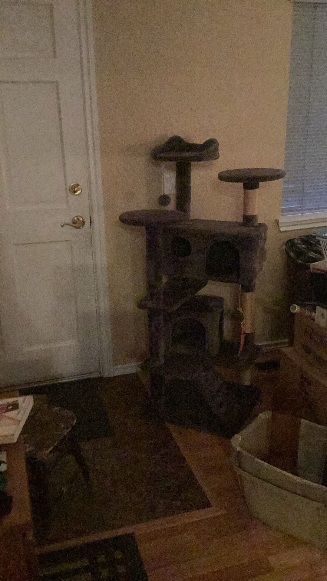 Kitten Or Small Cat Tree, Barely Used