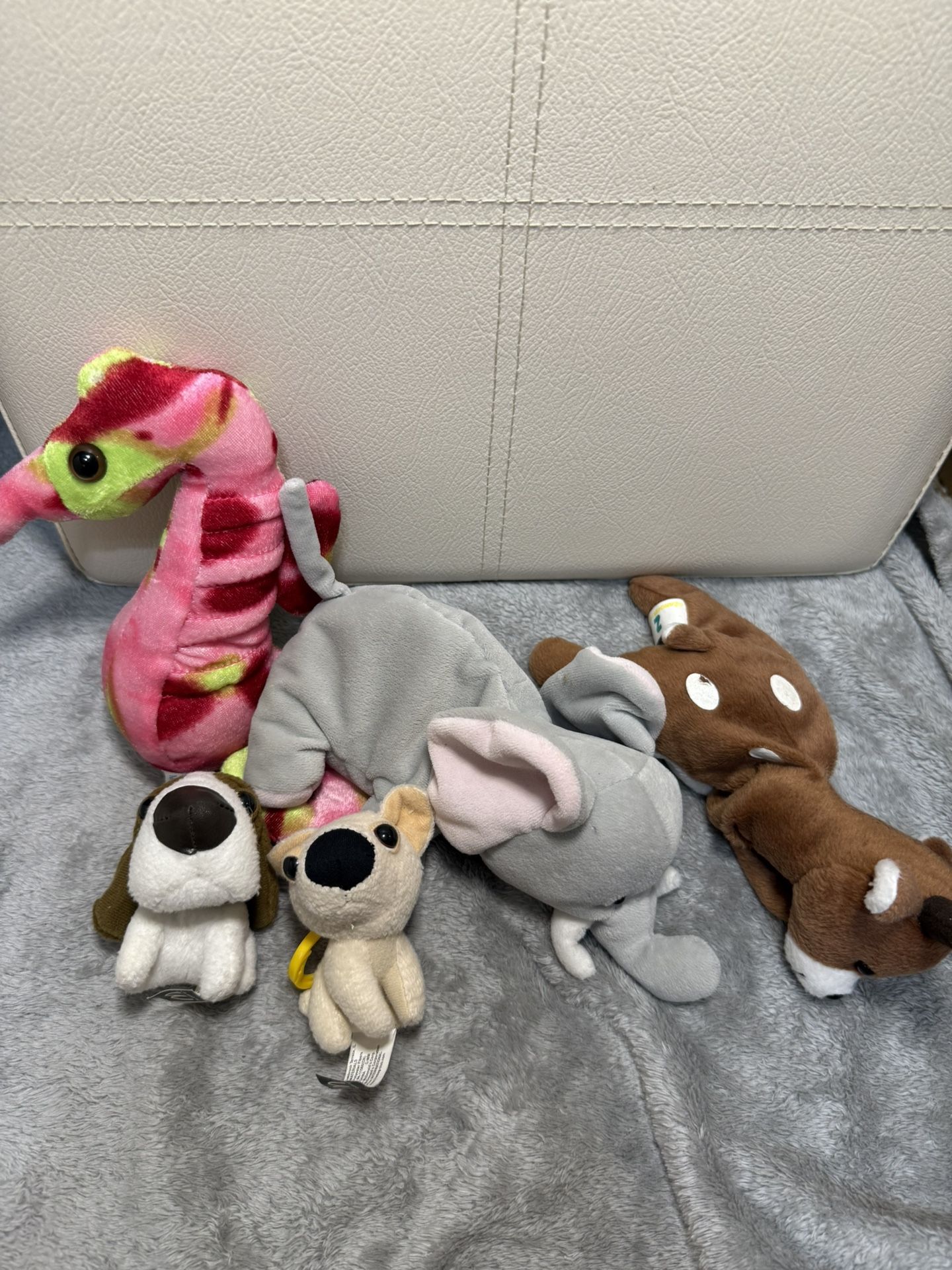 Take all assorted stuffed animals 5pcs