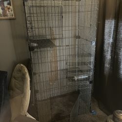Free Chinchilla sanctuary