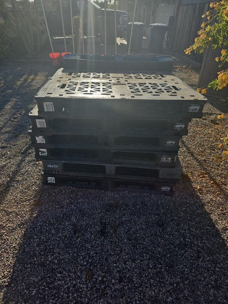 Plastic Pallets $20 For All