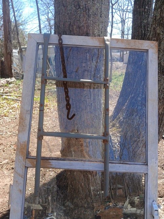Trampoline Ladder