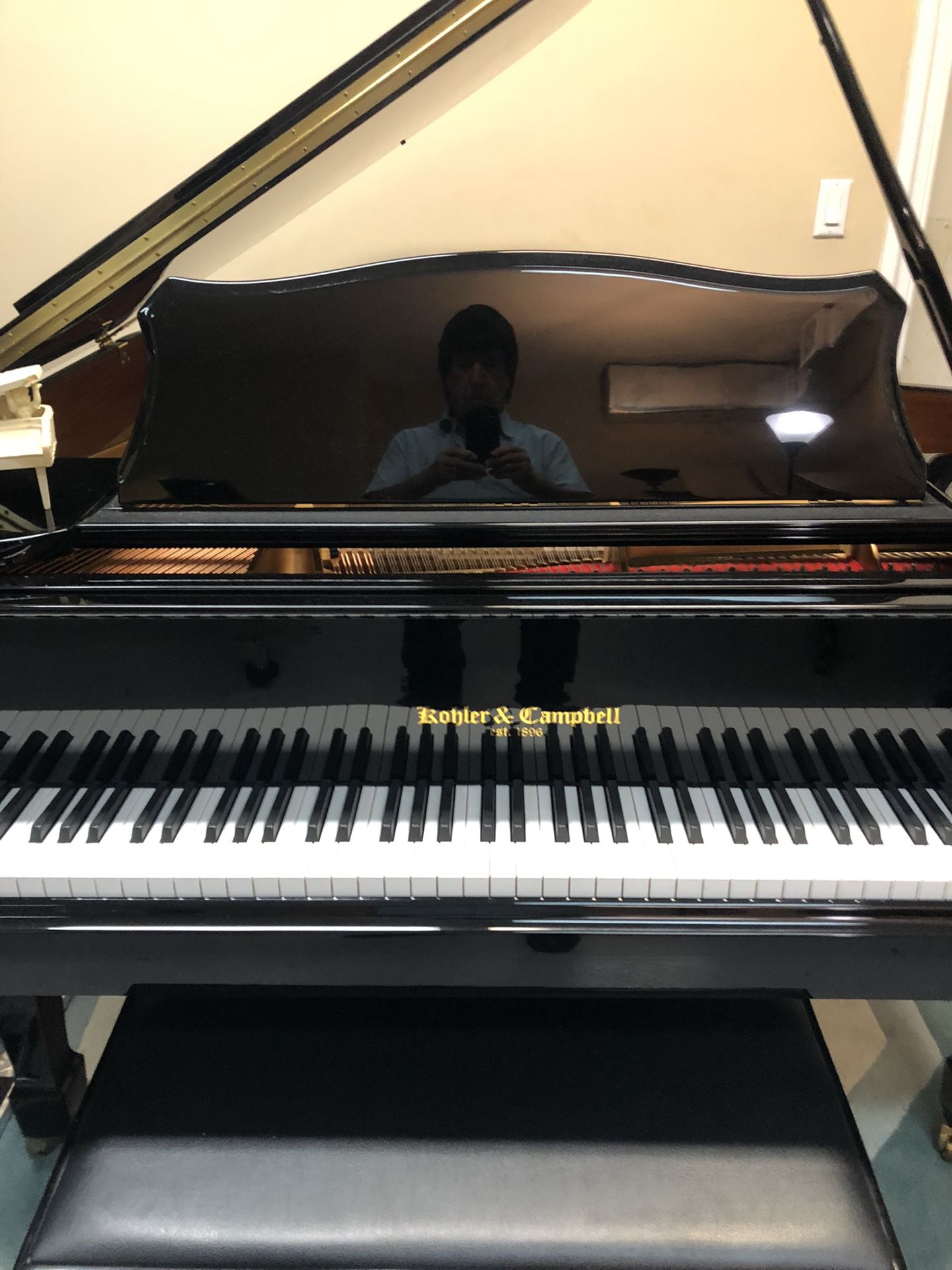 Black Baby Grand Piano 