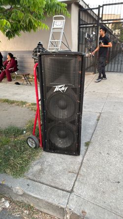 Peavey PV215 Speakers.