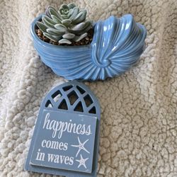 Beach Decor 