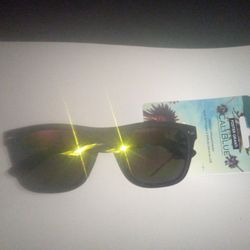 Sunglasses 