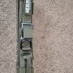 Excellent Elite Spanker Dog Collar 