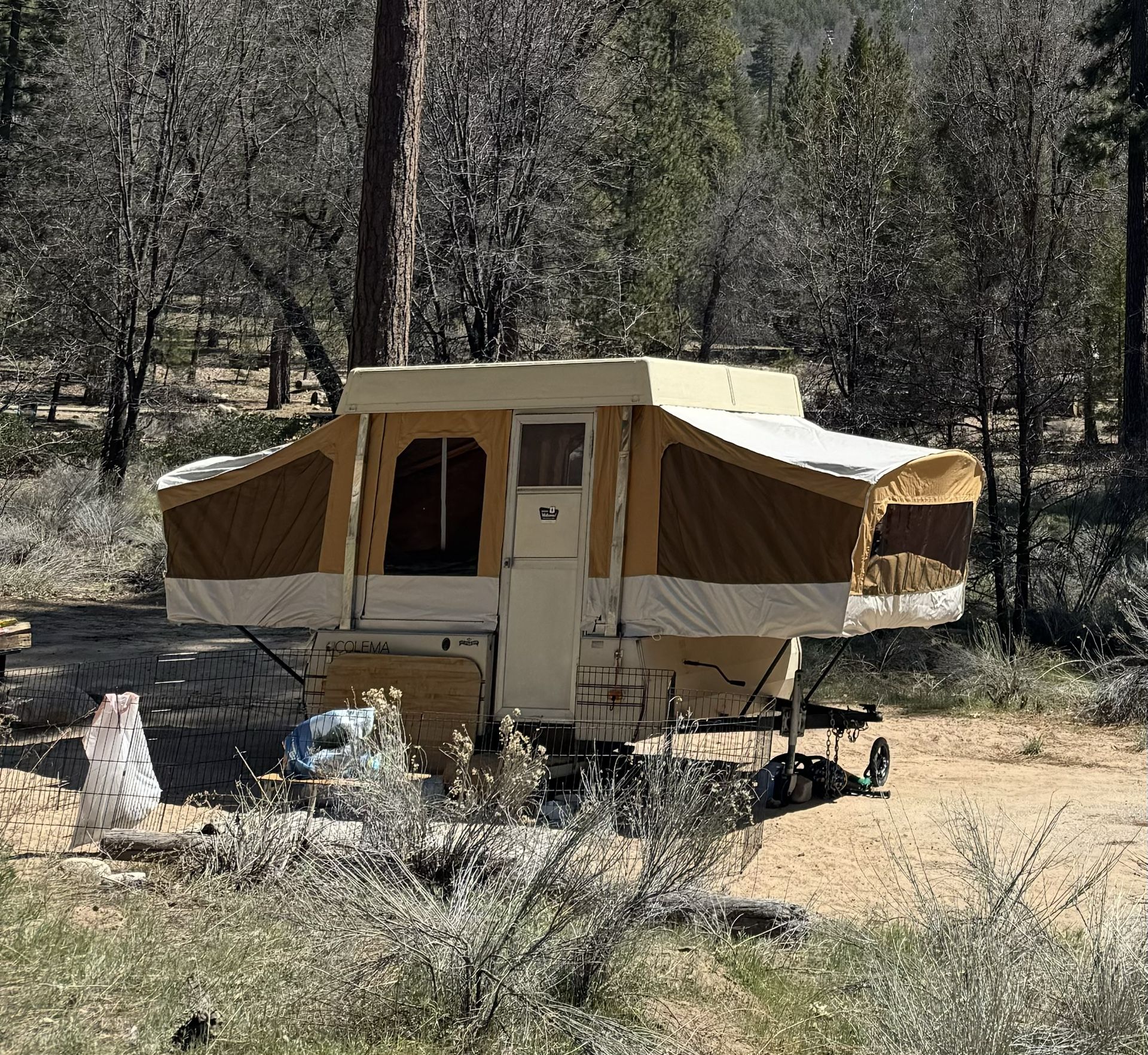 1984 coleman pop up camper online