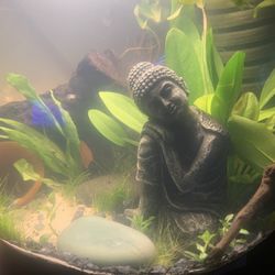 5 Gallon Fish Bowl 