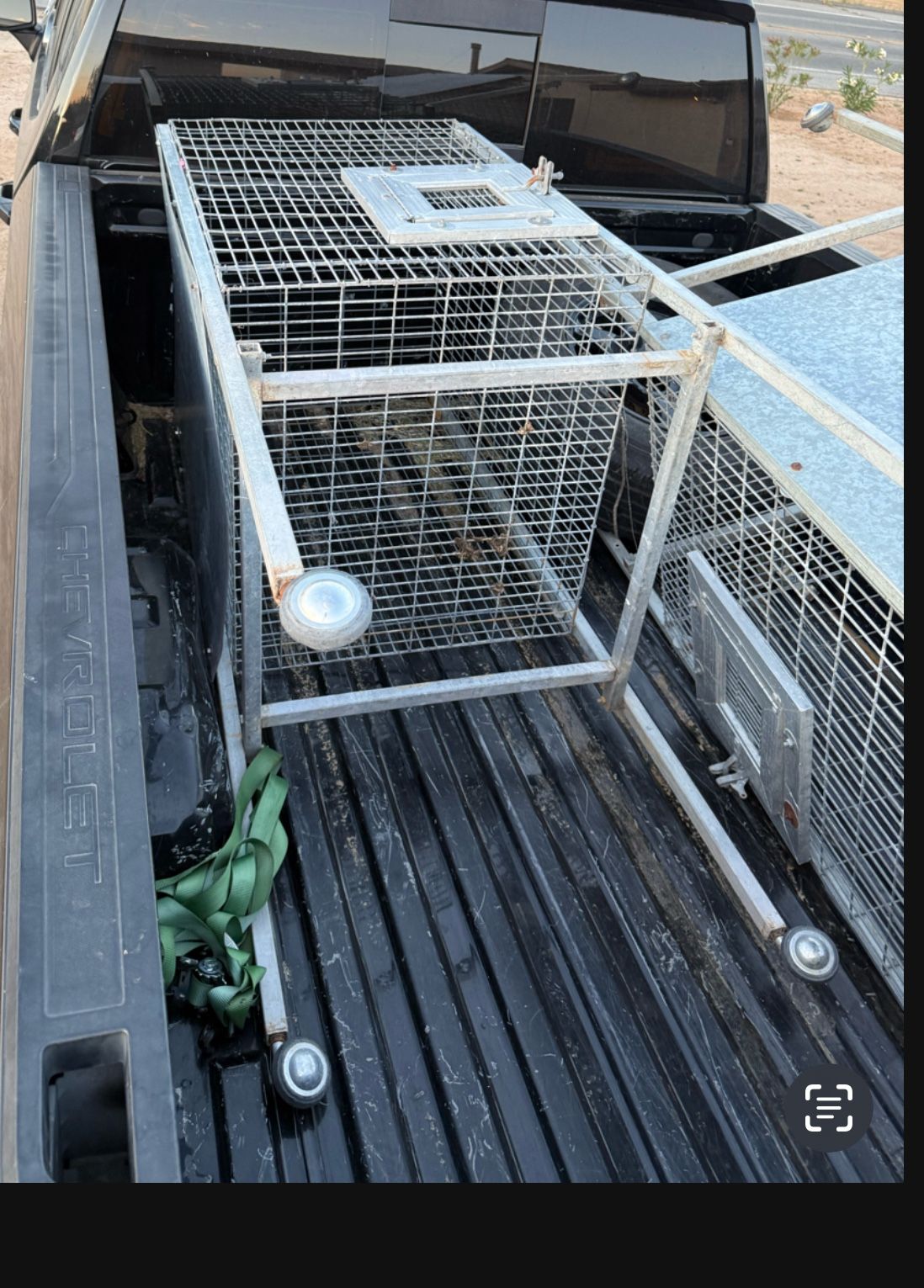 Bird Cage Cages