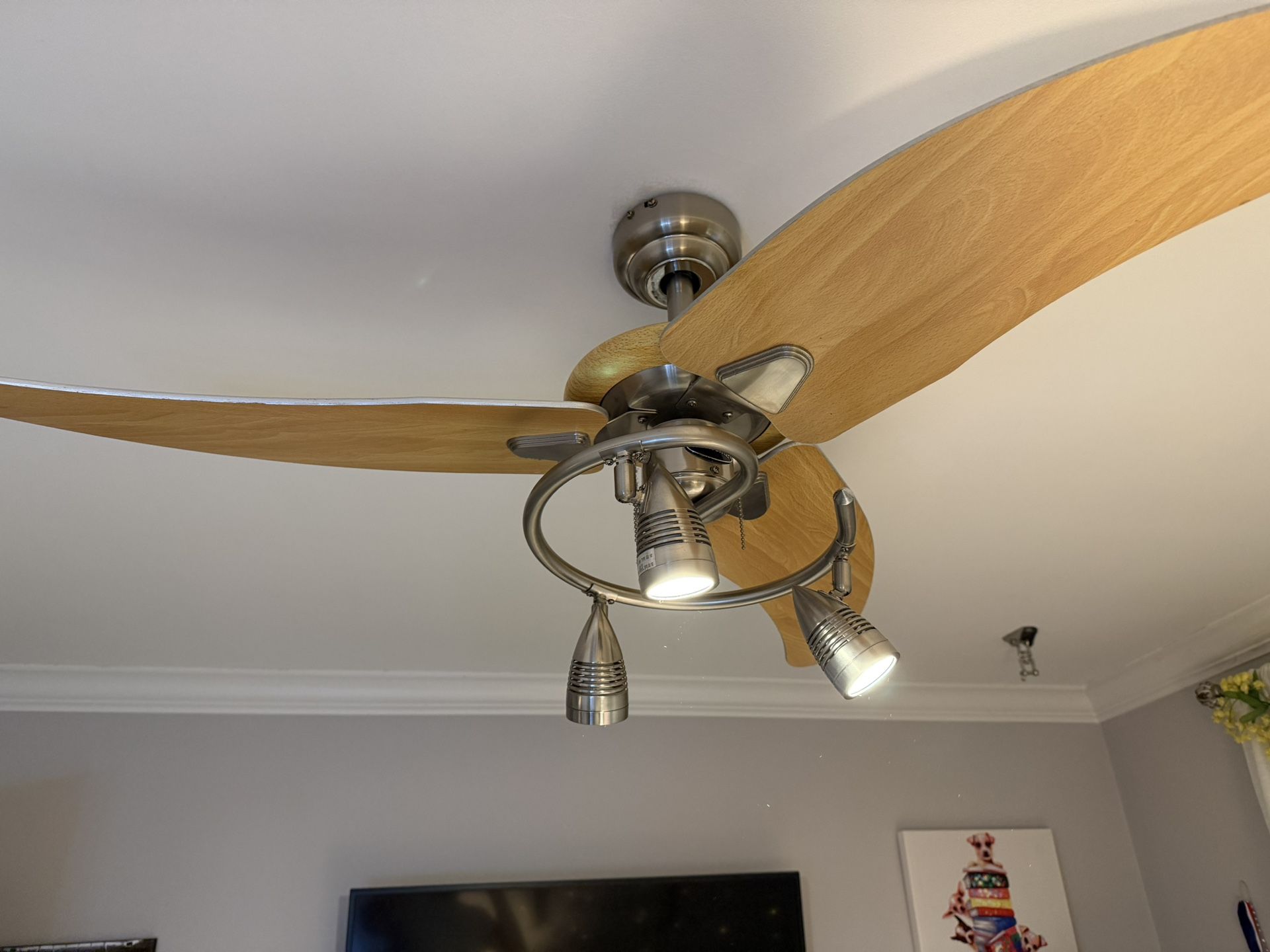 Ceiling Fan With Light