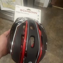 Schwinn Helmet 
