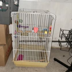 bird cage 