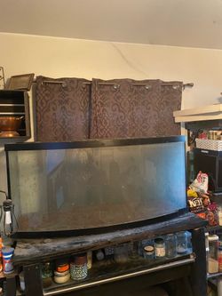 55 gallon Atrium